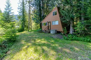 38115 564th St Ct E, Ashford, WA 98304 - Photo 34