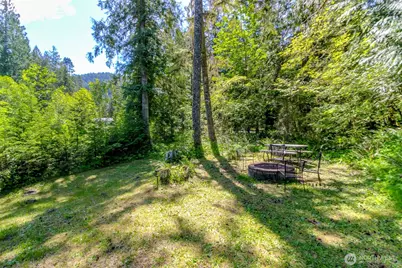 38115 564th St Ct E, Ashford, WA 98304 - Photo 24