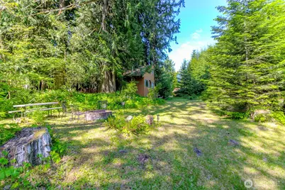 38115 564th St Ct E, Ashford, WA 98304 - Photo 32