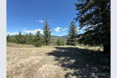 132 W Cayuse Mtn Road, Tonasket, WA 98855 - Photo 24