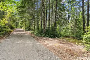 1090 NE Patton, Tahuya, WA 98588 - Photo 24