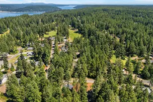 21 E Country Club Dr N, Union, WA 98592 - Photo 38