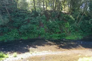 553 Upper Naselle Rd, Deep River, WA 98638 - Photo 4