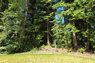 553 Upper Naselle Rd, Deep River, WA 98638 - Photo 28