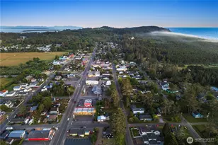 4202 L Pl, Seaview, WA 98641 - Photo 32