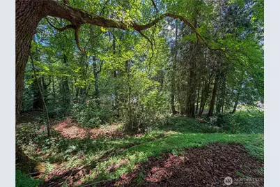 0 Lot 17 Panorama Drive, Shelton, WA 98584 - Photo 16