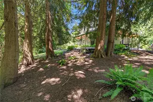 16913 222nd St E, Graham, WA 98338 - Photo 34