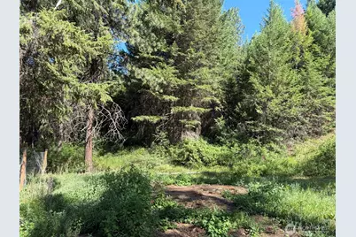 88 Little Bear Road, Republic, WA 99166 - Photo 34