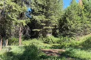 88 Little Bear Rd, Republic, WA 99166 - Photo 34