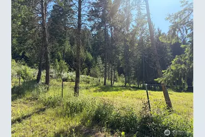 88 Little Bear Road, Republic, WA 99166 - Photo 36