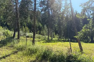 88 Little Bear Rd, Republic, WA 99166 - Photo 36