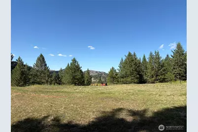88 Little Bear Road, Republic, WA 99166 - Photo 22