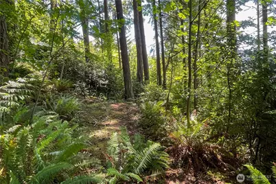 3 NW Sulphur Springs Lot 3, Bremerton, WA 98310 - Photo 24