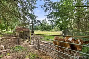 21016 E 26th Ave, Spanaway, WA 98387 - Photo 38