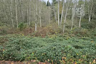 8201 5th Ave W, Everett, WA 98204 - Photo 1
