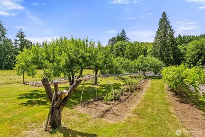 1677 North Fork Road, Chehalis, WA 98532 - Photo 36