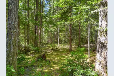 421 N Mt Jupiter Drive, Hoodsport, WA 98548 - Photo 12