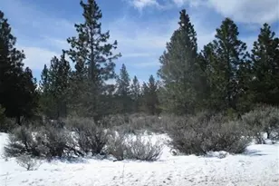6 Xx Chipmunk Trail, Waterville, WA 98858 - Photo 1
