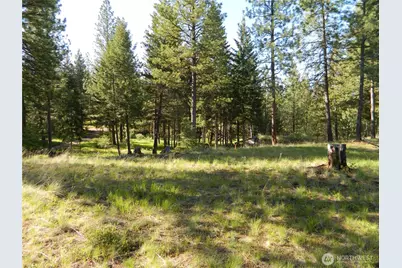 151 Indian Mary Loop Road, Tonasket, WA 98855 - Photo 4