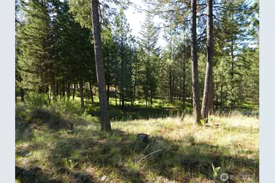 151 Indian Mary Loop Road, Tonasket, WA 98855 - Photo 16