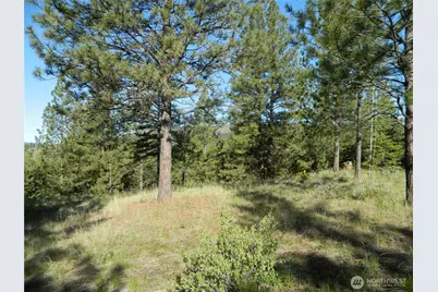 151 Indian Mary Loop Road, Tonasket, WA 98855 - Photo 10