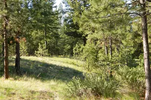151 Indian Mary Loop Rd, Tonasket, WA 98855 - Photo 12