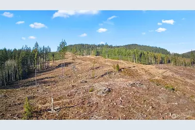 0 B-1000 Road, Sequim, WA 98382 - Photo 1