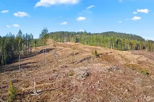 0 B-1000 Rd, Sequim, WA 98382 - Photo 1