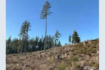0 B-1000 Road, Sequim, WA 98382 - Photo 12