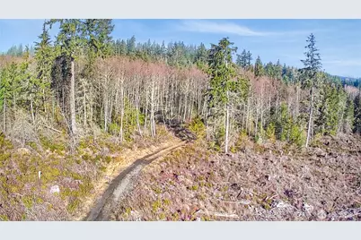 0 B-1000 Road, Sequim, WA 98382 - Photo 2