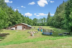 19515 Ap Tubbs Road E, Carbonado, WA 98323 - Photo 28