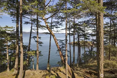 976 San Juan Drive, Friday Harbor, WA 98250 - Photo 38