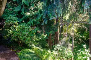 7411 71st Ave Ct SW, Lakewood, WA 98498 - Photo 34