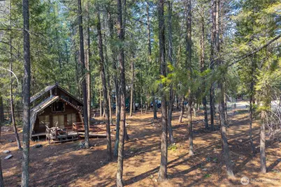 11 Susan Road, Mazama, WA 98834 - Photo 6