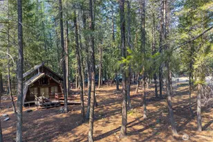 11 Susan Rd, Mazama, WA 98834 - Photo 6