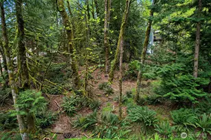 4 Indian Ridge Ct, Bellingham, WA 98229 - Photo 26