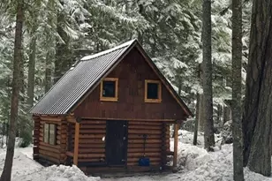 162 Silver Creek - Usfs, Greenwater, WA 98022 - Photo 4