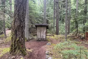 162 Silver Creek - Usfs, Greenwater, WA 98022 - Photo 8