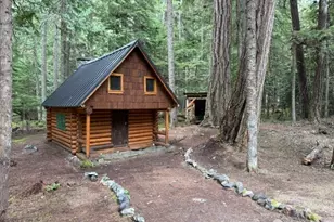 162 Silver Creek - Usfs, Greenwater, WA 98022 - Photo 2
