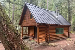 162 Silver Creek - Usfs, Greenwater, WA 98022 - Photo 6