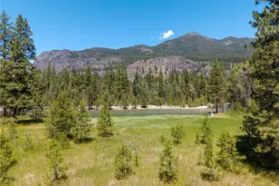 65 Mazama Pines Ln, Mazama, WA 98833 - Photo 8