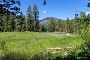 65 Mazama Pines Ln, Mazama, WA 98833 - Photo 32