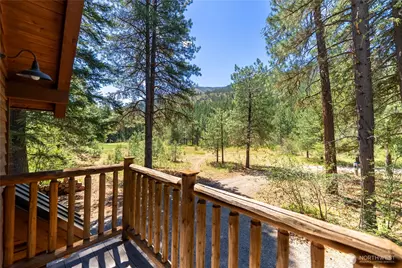 65 Mazama Pines Lane, Mazama, WA 98833 - Photo 28