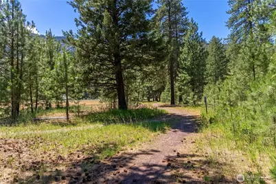 65 Mazama Pines Lane, Mazama, WA 98833 - Photo 6