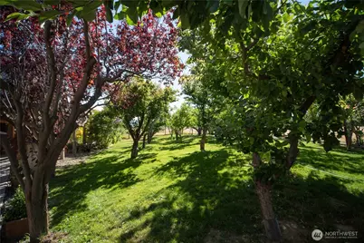 4405 Cove Road, Ellensburg, WA 98926 - Photo 32
