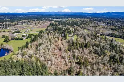 15115 Martinson Road SE, Yelm, WA 98597 - Photo 16