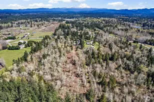 15115 Martinson Rd SE, Yelm, WA 98597 - Photo 16