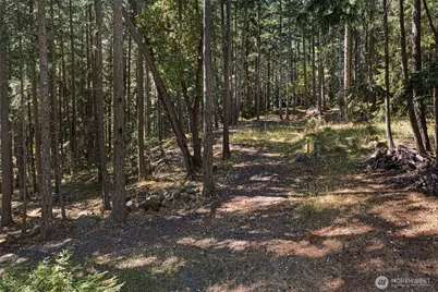668 Carefree Lane, Friday Harbor, WA 98250 - Photo 8