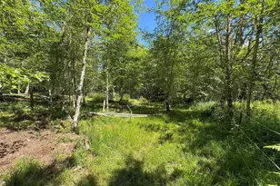 663 Glass Rd, Port Angeles, WA 98362 - Photo 34