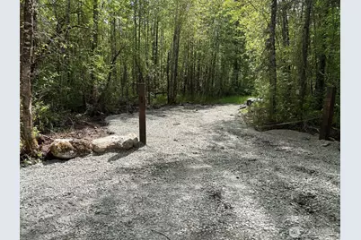 0 42nd Avenue S, Roy, WA 98580 - Photo 4